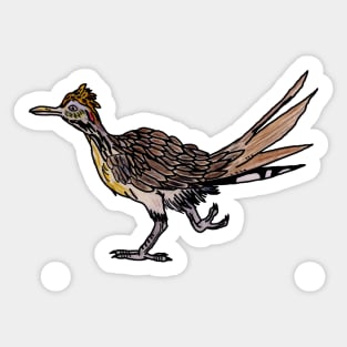 Roadrunner Sticker